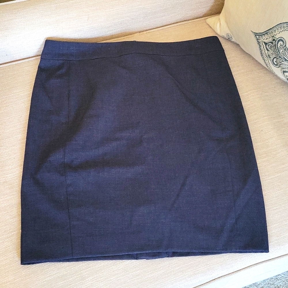 Sleek Fitted Skirt